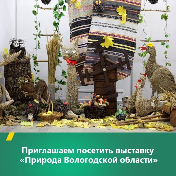 Выставка «Природа Вологодской области»