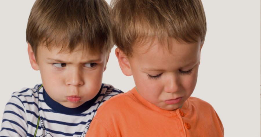 Ссоры детей в семье – методы примирения