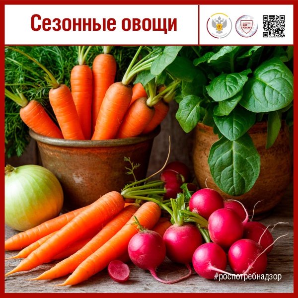 Польза сезонных овощей весной