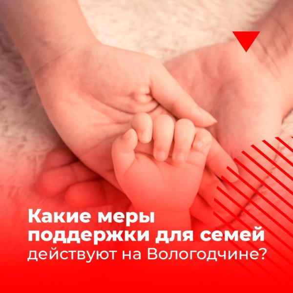 Вологодские семьи с тремя и более детьми могут рассчитывать на поддержку
